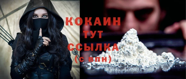гидра Корсаков