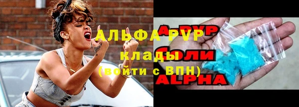 гидра Корсаков