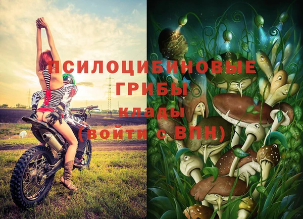 2c-b Коряжма