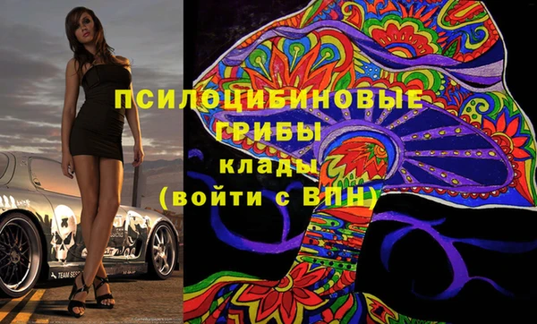 2c-b Коряжма