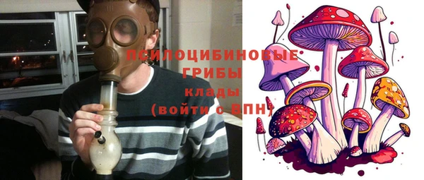 гидра Корсаков