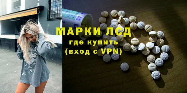 гидра Корсаков