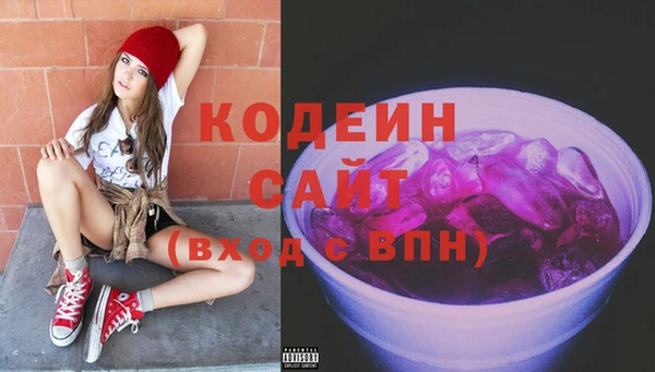 гидра Корсаков