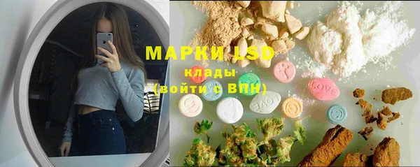 гидра Корсаков